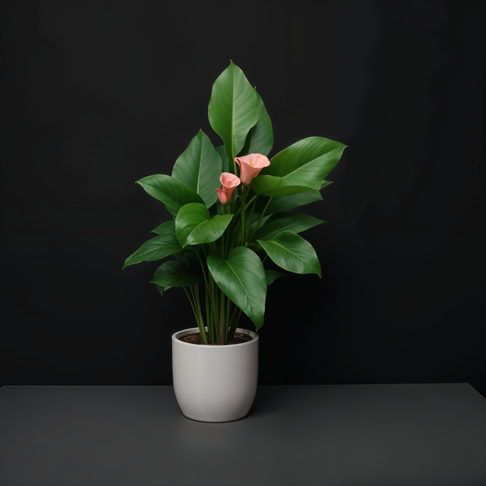 A potted plant with pink flowers in a modern planter, centered in a clean and minimal room.
