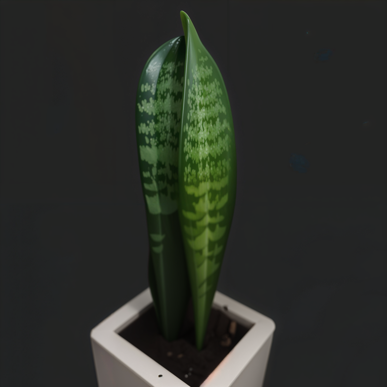 A green Dracaena trifasciata plant in a white pot on a black background, with natural lighting highlighting its structure.