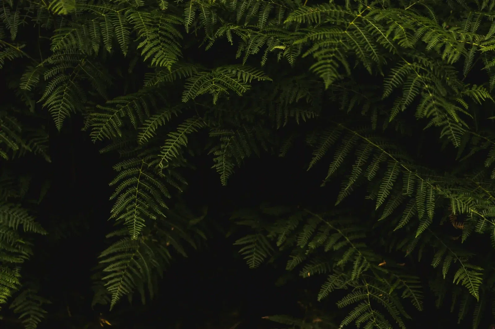 Hero background